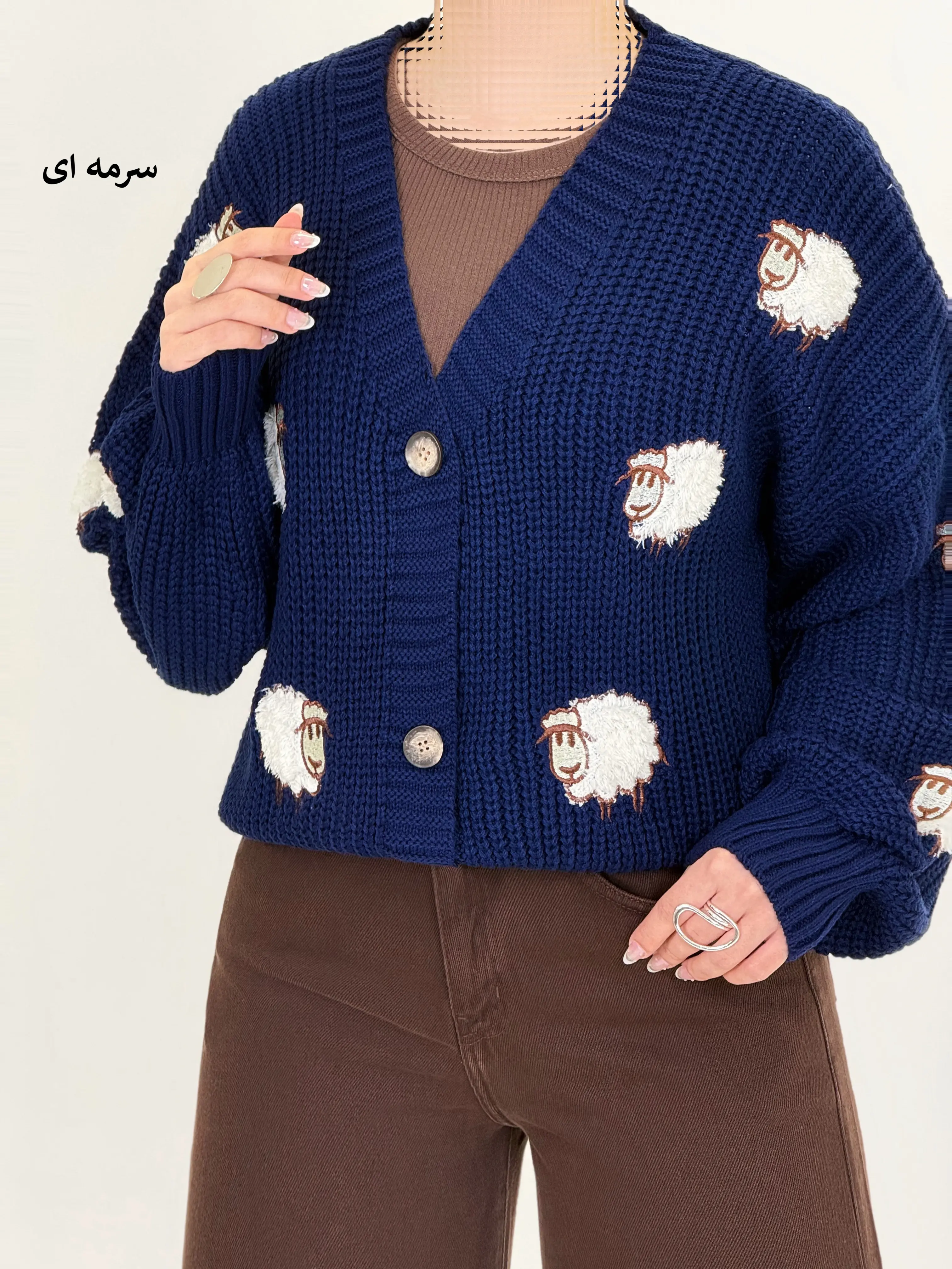 7369-کاردیگن sheep